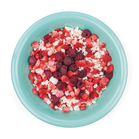 LYOFOOD - freeze-dried dish - Fruit orchard - Mixture - strawberry, apple, cherry 30g