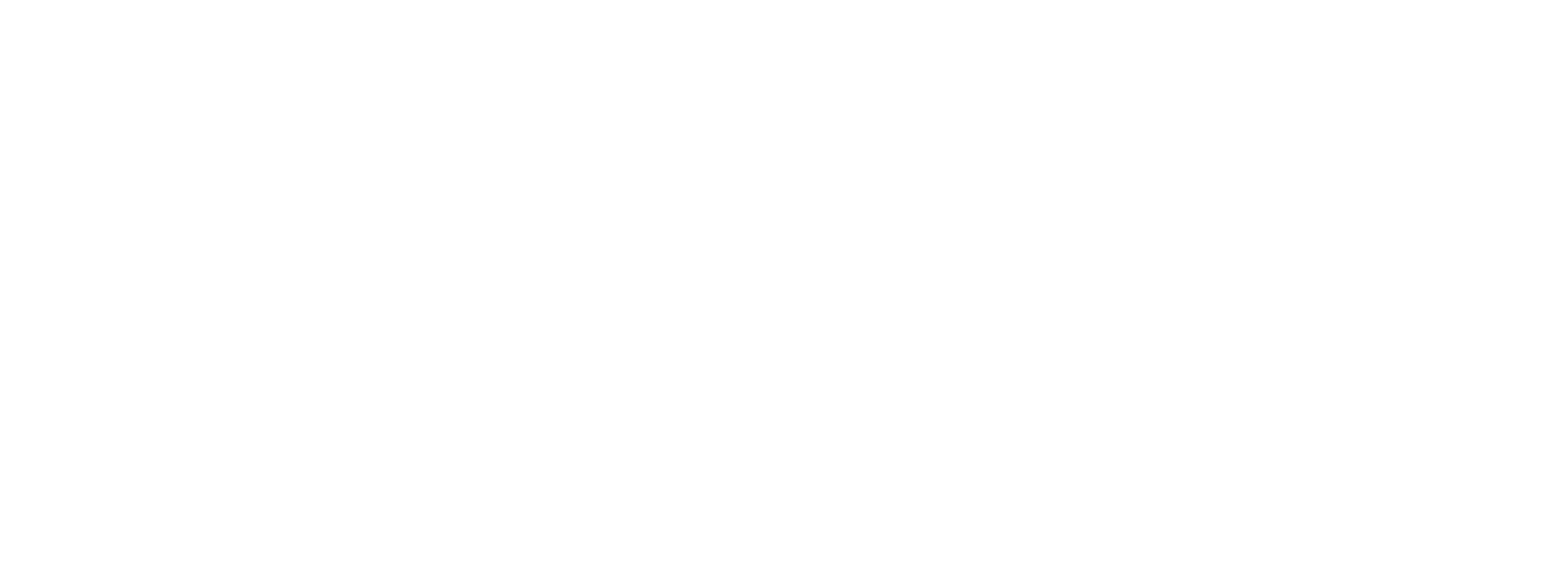 Bullet Brothers