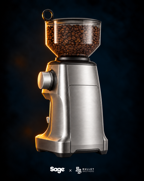 Sage Smart Grinder Pro SCG820BSS Stal Szczotkowana – widok z tyłu